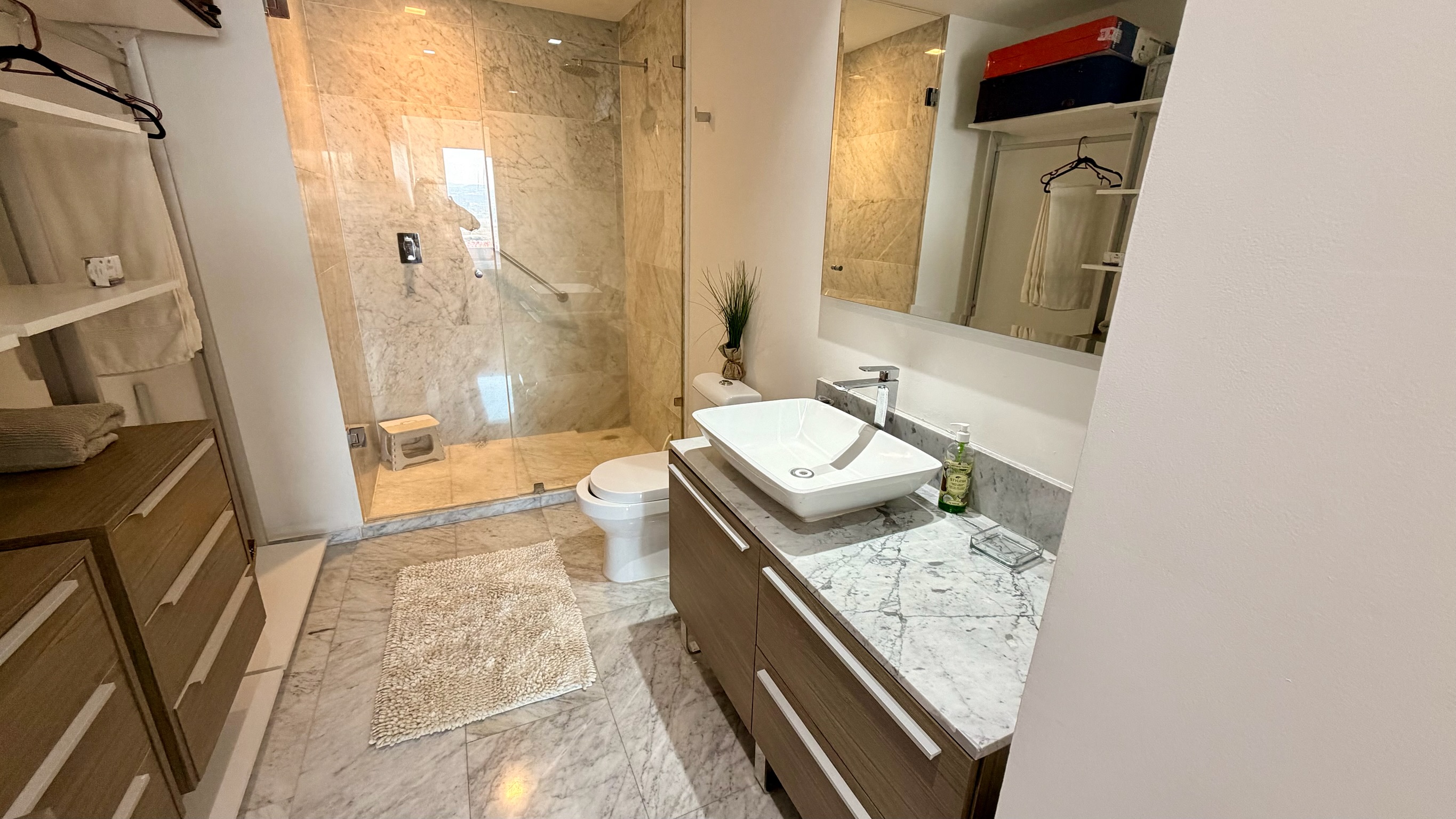 Master bathroom view